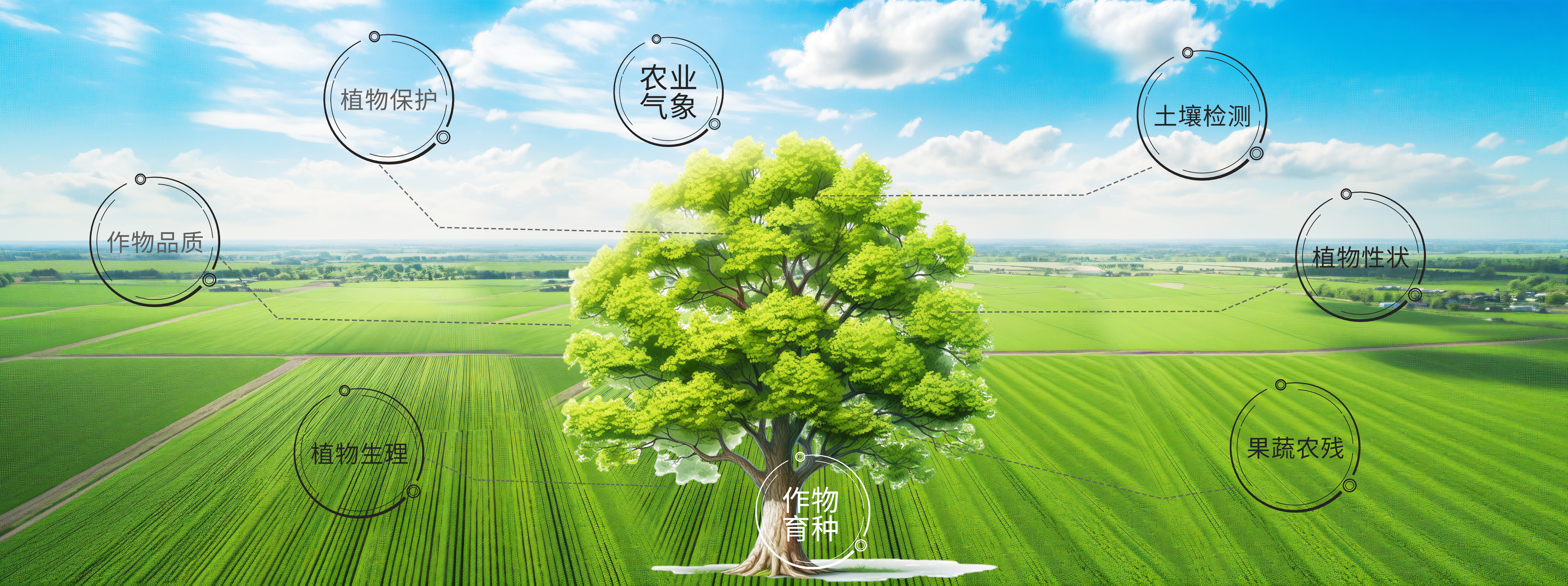 技術(shù)資料